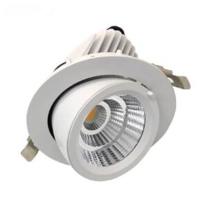 Led Zoom Light