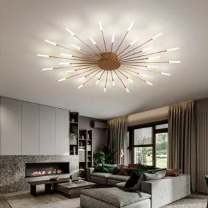 Ceiling Light